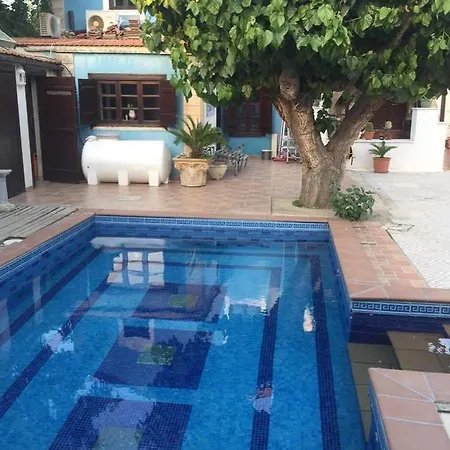Thermopilon لارنكا